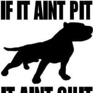 Meet your Posher, Kenneth